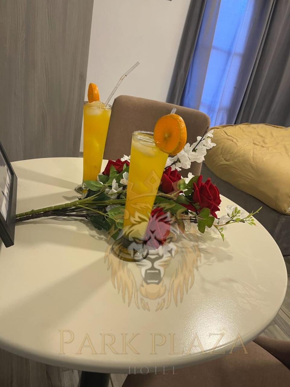 New Park Plaza Hotel Le Caire